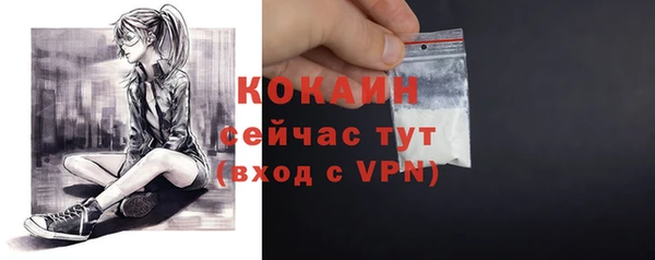 тгк Снежинск