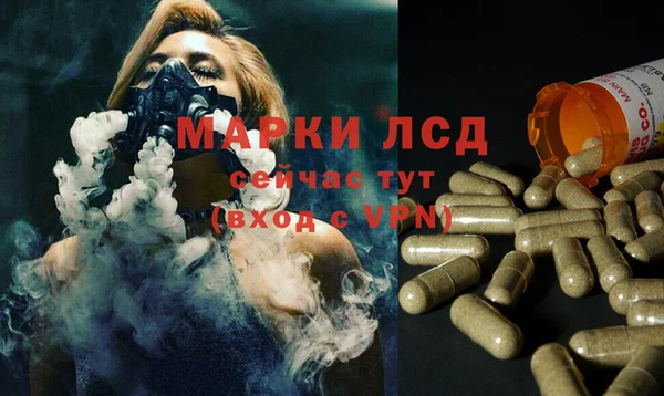 прущие крисы Алзамай